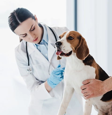 Seyrekköy Veteriner