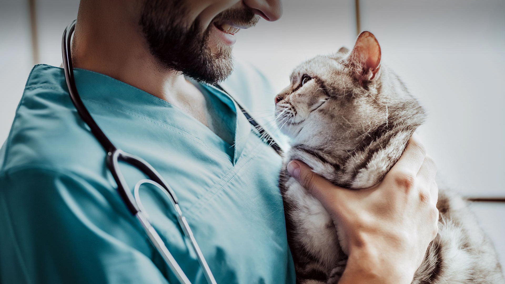 Seyrekköy Veteriner